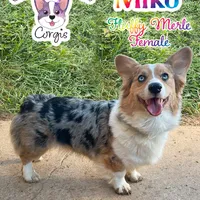 processed/4e66c5e9-86dc-48d1-a7c7-438319fdf011/facility/d555783d-6707-4840-9af6-c5ba1aee4356