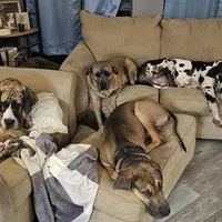 processed/4e6df4ee-388e-4033-98ab-b7d3e2003de2/facility/1211cf15-95f8-4505-88fb-acaef63d360d