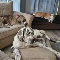 processed/4e6df4ee-388e-4033-98ab-b7d3e2003de2/facility/52f0a8ad-a79d-4527-8ebb-6d7a7262149e