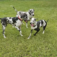 processed/4e6df4ee-388e-4033-98ab-b7d3e2003de2/facility/58749c1f-7fe9-4ea8-9123-c2d991365de6