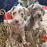 processed/4e6df4ee-388e-4033-98ab-b7d3e2003de2/facility/75a3ebb9-3100-4cac-a723-4725ad61e63b