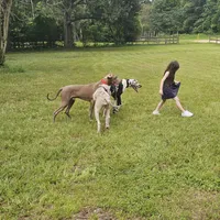 processed/4e6df4ee-388e-4033-98ab-b7d3e2003de2/facility/894f11c8-9fd7-4298-a939-92527b551d20