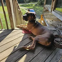 processed/4e6df4ee-388e-4033-98ab-b7d3e2003de2/facility/ac9e5fdc-c766-41ff-b562-aa70d48d5e6e