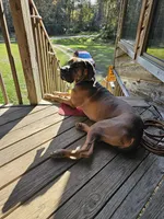 processed/4e6df4ee-388e-4033-98ab-b7d3e2003de2/facility/ac9e5fdc-c766-41ff-b562-aa70d48d5e6e