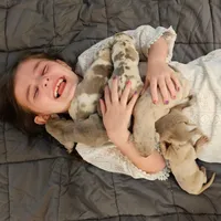 processed/4e6df4ee-388e-4033-98ab-b7d3e2003de2/facility/aef3d6ee-acac-48c8-b065-b9d3f6912f31