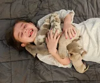 processed/4e6df4ee-388e-4033-98ab-b7d3e2003de2/facility/aef3d6ee-acac-48c8-b065-b9d3f6912f31