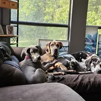 processed/4e6df4ee-388e-4033-98ab-b7d3e2003de2/facility/e2b26794-4279-4491-b80d-f2e747ae0165