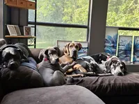 processed/4e6df4ee-388e-4033-98ab-b7d3e2003de2/facility/e2b26794-4279-4491-b80d-f2e747ae0165