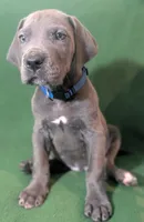 processed/4e6df4ee-388e-4033-98ab-b7d3e2003de2/listing/82ccbd31-a81e-411c-b72c-82013297c039/4937f65b-3acb-445d-8354-54e4f50b6578