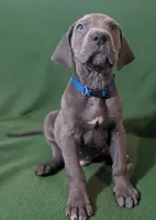 processed/4e6df4ee-388e-4033-98ab-b7d3e2003de2/listing/82ccbd31-a81e-411c-b72c-82013297c039/a15ecffb-3af1-49da-892b-52dd8996cfaa