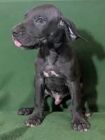 processed/4e6df4ee-388e-4033-98ab-b7d3e2003de2/listing/c3e817a0-5e52-4398-98b7-bc708240b977/63038153-282e-48a3-9658-134ddd75820b