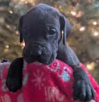 processed/4e6df4ee-388e-4033-98ab-b7d3e2003de2/listing/c3e817a0-5e52-4398-98b7-bc708240b977/683edc04-45b2-47c9-900a-4df41777cf3d