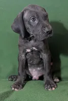 processed/4e6df4ee-388e-4033-98ab-b7d3e2003de2/listing/c3e817a0-5e52-4398-98b7-bc708240b977/6b68d790-6fe0-4e36-a692-1bfdebcc9a40