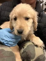 processed/4e702324-fbf6-4f88-8cd2-397871944fa0/listing/95c83def-e3f7-4ca4-9f12-177625c4cb03/5c9de4f6-20c5-4cec-b17d-f485a40bcc5c