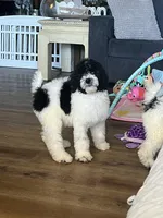 processed/4e7be1e6-7213-48cf-8c03-c4428400b95b/listing/c002f588-fef3-4dde-a4ba-5012e23d4aed/3f10f819-4c00-4ca5-8d71-bc6f01003ffa