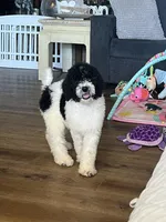 processed/4e7be1e6-7213-48cf-8c03-c4428400b95b/listing/c002f588-fef3-4dde-a4ba-5012e23d4aed/4e39c076-2edc-4937-933d-6ce102081e24