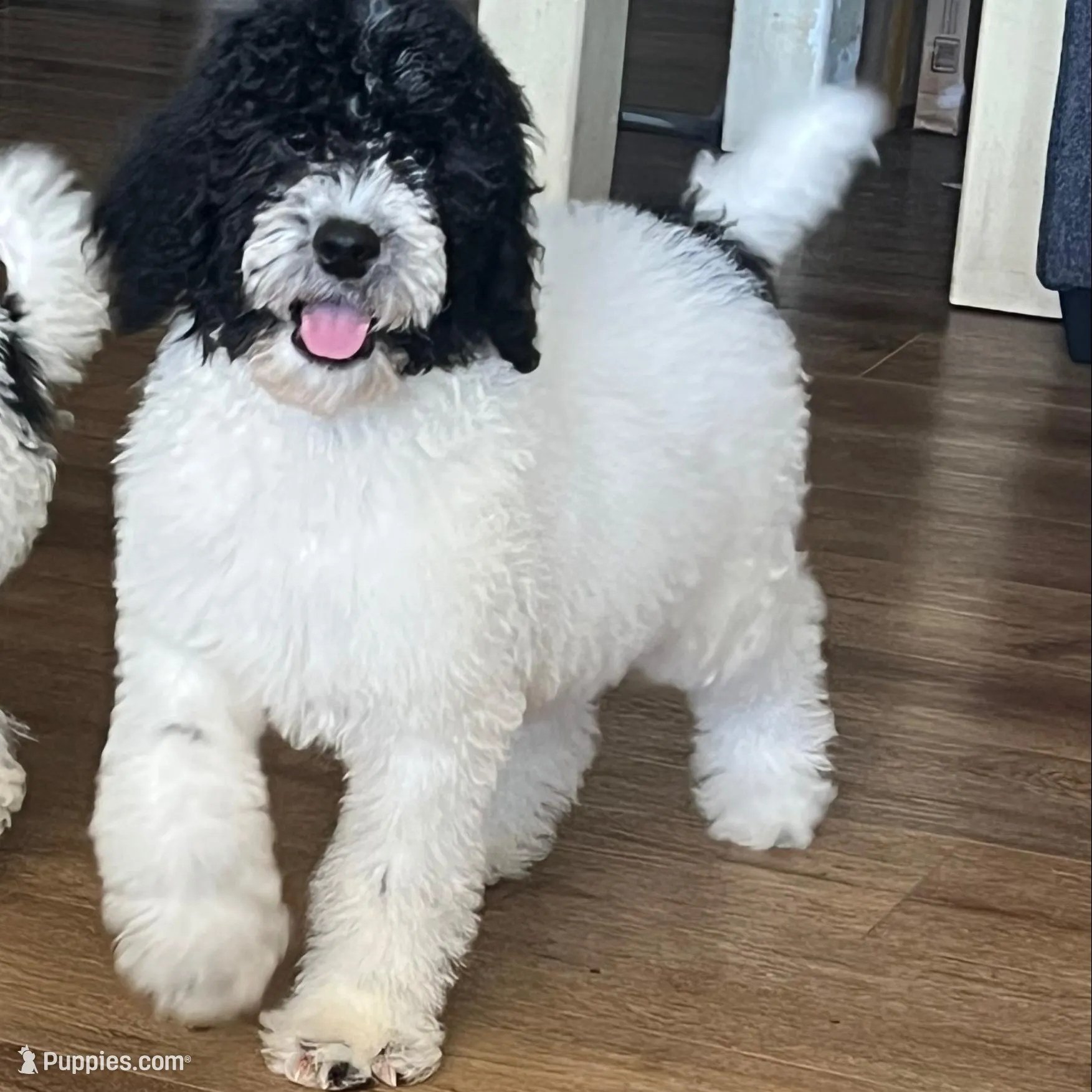 processed/4e7be1e6-7213-48cf-8c03-c4428400b95b/listing/c002f588-fef3-4dde-a4ba-5012e23d4aed/dd08341b-d145-47ce-8b4f-34148696c148