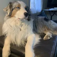 processed/4e98d8f2-9bac-4dfb-b3cf-1e390c030efc/facility/098dc422-fac0-4446-8f13-ac34e5ee6aaf