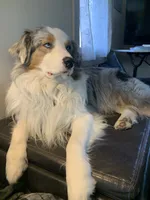 processed/4e98d8f2-9bac-4dfb-b3cf-1e390c030efc/facility/098dc422-fac0-4446-8f13-ac34e5ee6aaf