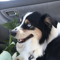 processed/4e98d8f2-9bac-4dfb-b3cf-1e390c030efc/facility/2720478c-9494-4cb4-bdda-3b99c885bb45