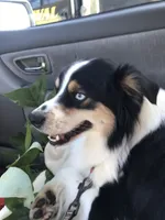 processed/4e98d8f2-9bac-4dfb-b3cf-1e390c030efc/facility/2720478c-9494-4cb4-bdda-3b99c885bb45