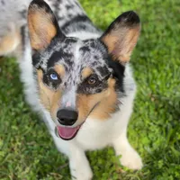 processed/4e98d8f2-9bac-4dfb-b3cf-1e390c030efc/facility/464bc64b-f083-4f4b-8a95-f87088eddd13