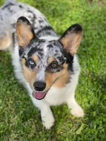 processed/4e98d8f2-9bac-4dfb-b3cf-1e390c030efc/facility/464bc64b-f083-4f4b-8a95-f87088eddd13