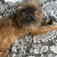 processed/4e98d8f2-9bac-4dfb-b3cf-1e390c030efc/facility/53ef9d80-15ab-4d02-8ac2-7ea48e9c57be