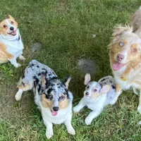 processed/4e98d8f2-9bac-4dfb-b3cf-1e390c030efc/facility/54e303eb-601a-45f4-ba9e-f809091ec608