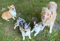 processed/4e98d8f2-9bac-4dfb-b3cf-1e390c030efc/facility/54e303eb-601a-45f4-ba9e-f809091ec608