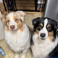 processed/4e98d8f2-9bac-4dfb-b3cf-1e390c030efc/facility/5d752bea-7171-4065-a3c2-9e5768a539d0