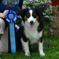 processed/4e98d8f2-9bac-4dfb-b3cf-1e390c030efc/facility/d09c17b5-2d86-4d8e-8af4-6e3909c57c56