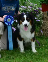 processed/4e98d8f2-9bac-4dfb-b3cf-1e390c030efc/facility/d09c17b5-2d86-4d8e-8af4-6e3909c57c56