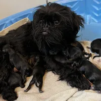 processed/4e98d8f2-9bac-4dfb-b3cf-1e390c030efc/facility/d95ee4a3-bafe-4f6b-9dea-61d570d8b2f5