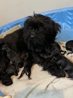 processed/4e98d8f2-9bac-4dfb-b3cf-1e390c030efc/facility/d95ee4a3-bafe-4f6b-9dea-61d570d8b2f5