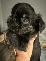 processed/4e98d8f2-9bac-4dfb-b3cf-1e390c030efc/listing/2b2abf4e-cee8-46f8-a630-4da440e1da83/106d57ac-25f2-4ba0-ab0e-560a85d89a34