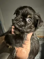 processed/4e98d8f2-9bac-4dfb-b3cf-1e390c030efc/listing/2b2abf4e-cee8-46f8-a630-4da440e1da83/3fc7fefc-c2df-45b1-8130-59ad682cab97