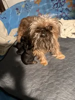 processed/4e98d8f2-9bac-4dfb-b3cf-1e390c030efc/listing/2b2abf4e-cee8-46f8-a630-4da440e1da83/5029b287-8b2b-4324-bf6b-bbfa7be51152