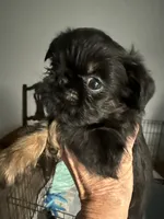 processed/4e98d8f2-9bac-4dfb-b3cf-1e390c030efc/listing/2b2abf4e-cee8-46f8-a630-4da440e1da83/6de48b9d-8889-4141-8282-a5533ceeedda