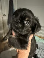 processed/4e98d8f2-9bac-4dfb-b3cf-1e390c030efc/listing/2b2abf4e-cee8-46f8-a630-4da440e1da83/9fcef997-81e3-4557-b965-920dccf87e86