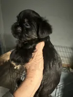 processed/4e98d8f2-9bac-4dfb-b3cf-1e390c030efc/listing/2b2abf4e-cee8-46f8-a630-4da440e1da83/e56d6812-29ee-4422-a2de-314855f0418f