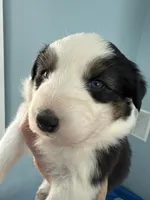 processed/4e98d8f2-9bac-4dfb-b3cf-1e390c030efc/listing/371e7e44-93cf-4fa8-9ad0-64ec12a1d00b/0f5d4667-58ca-426c-a521-fe9e26ec722c