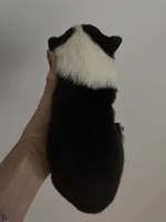 processed/4e98d8f2-9bac-4dfb-b3cf-1e390c030efc/listing/371e7e44-93cf-4fa8-9ad0-64ec12a1d00b/32323d14-7fdd-4a71-ad81-1517c8347a88