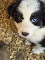 processed/4e98d8f2-9bac-4dfb-b3cf-1e390c030efc/listing/371e7e44-93cf-4fa8-9ad0-64ec12a1d00b/4d792713-0379-4708-afa6-ad5729845072