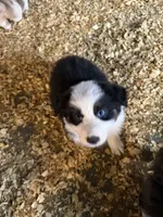 processed/4e98d8f2-9bac-4dfb-b3cf-1e390c030efc/listing/371e7e44-93cf-4fa8-9ad0-64ec12a1d00b/5e2692a6-5bcf-47b2-bcde-362fd78d0a73