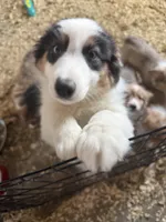 processed/4e98d8f2-9bac-4dfb-b3cf-1e390c030efc/listing/371e7e44-93cf-4fa8-9ad0-64ec12a1d00b/a0056f6a-cda6-4297-81a1-b78dd80a8c8e