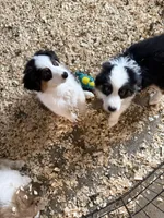 processed/4e98d8f2-9bac-4dfb-b3cf-1e390c030efc/listing/371e7e44-93cf-4fa8-9ad0-64ec12a1d00b/ad892d10-f484-42cc-9faf-1d2a703c8788