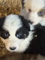 processed/4e98d8f2-9bac-4dfb-b3cf-1e390c030efc/listing/371e7e44-93cf-4fa8-9ad0-64ec12a1d00b/d29e24d4-8a9a-492e-97e4-b24f9954f374