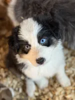 processed/4e98d8f2-9bac-4dfb-b3cf-1e390c030efc/listing/371e7e44-93cf-4fa8-9ad0-64ec12a1d00b/faf813b8-a6ff-4be4-9d14-51320ebe7837