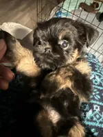 processed/4e98d8f2-9bac-4dfb-b3cf-1e390c030efc/listing/3f49b695-29db-48f7-a53a-1bb6eb749c4b/0c4520d8-84b5-4eb4-a4e0-673d71c6a8fa